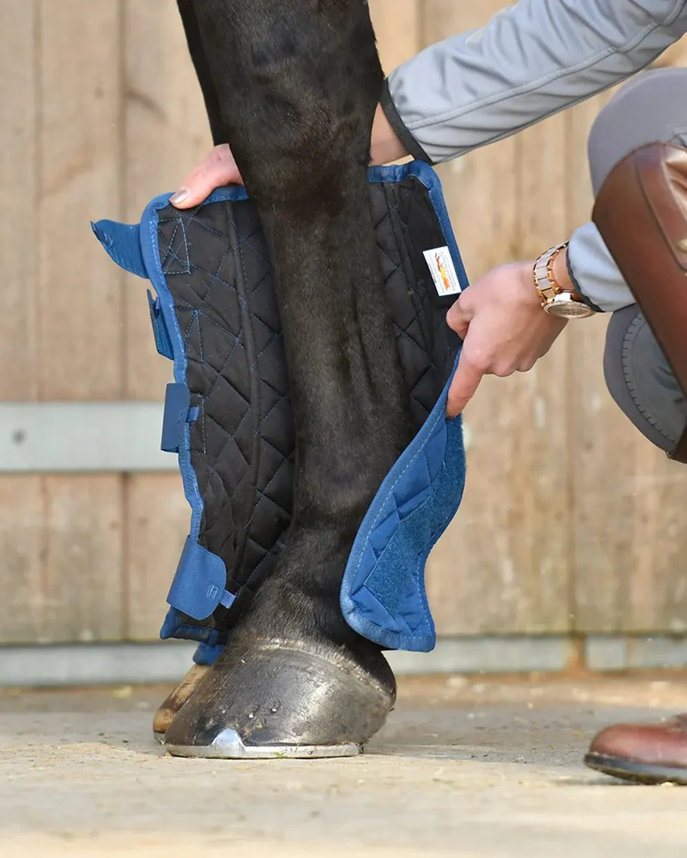 Equilibrium Equi-Chaps Stable Chaps