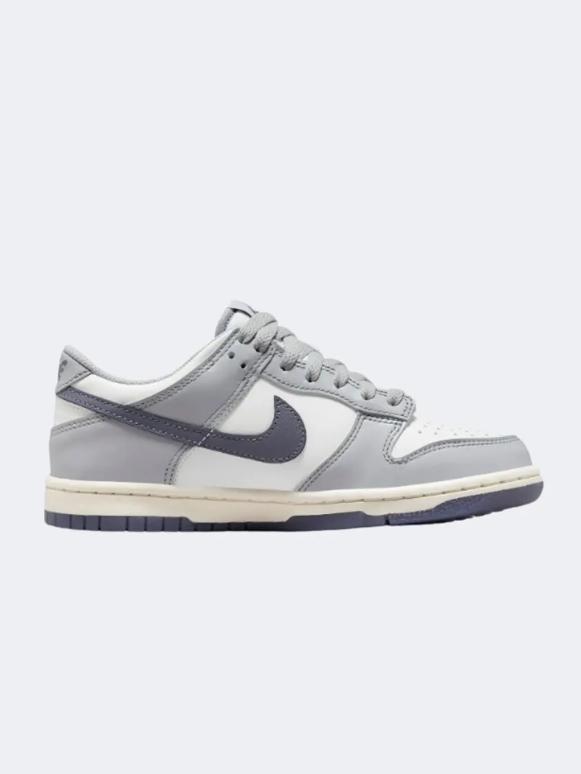 Nike Dunk Gs-Boys Lifestyle Shoes White/Grey/Carbon