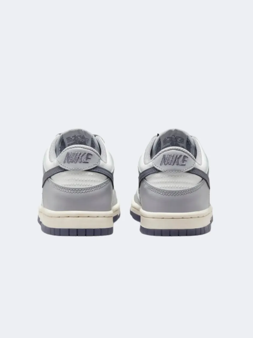 Nike Dunk Gs-Boys Lifestyle Shoes White/Grey/Carbon