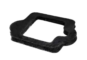 Pentair IntelliFlo Drive Gasket 350108