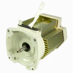 Pentair Motor 353134S