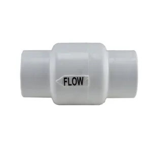 Pentair Water Bypass Check Valve R172305