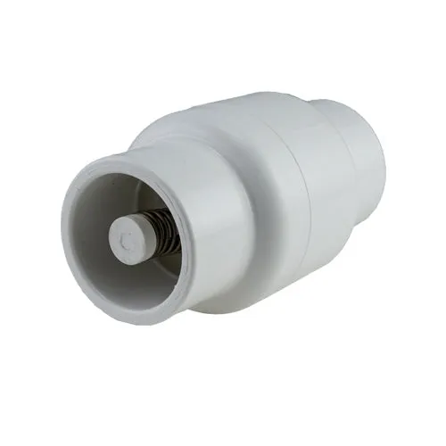 Pentair Water Bypass Check Valve R172305