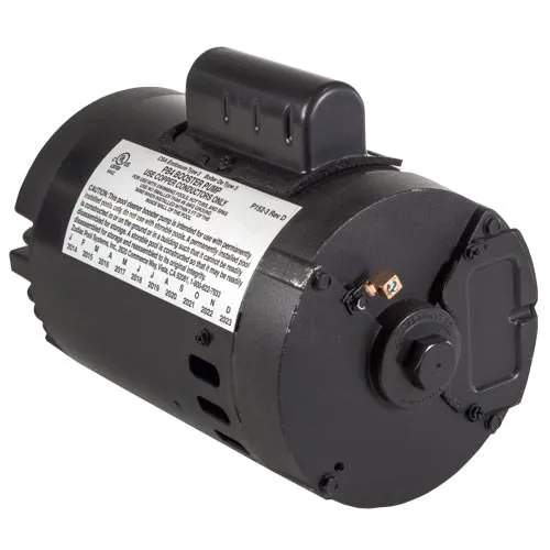 Polaris Booster Pump Motor P61