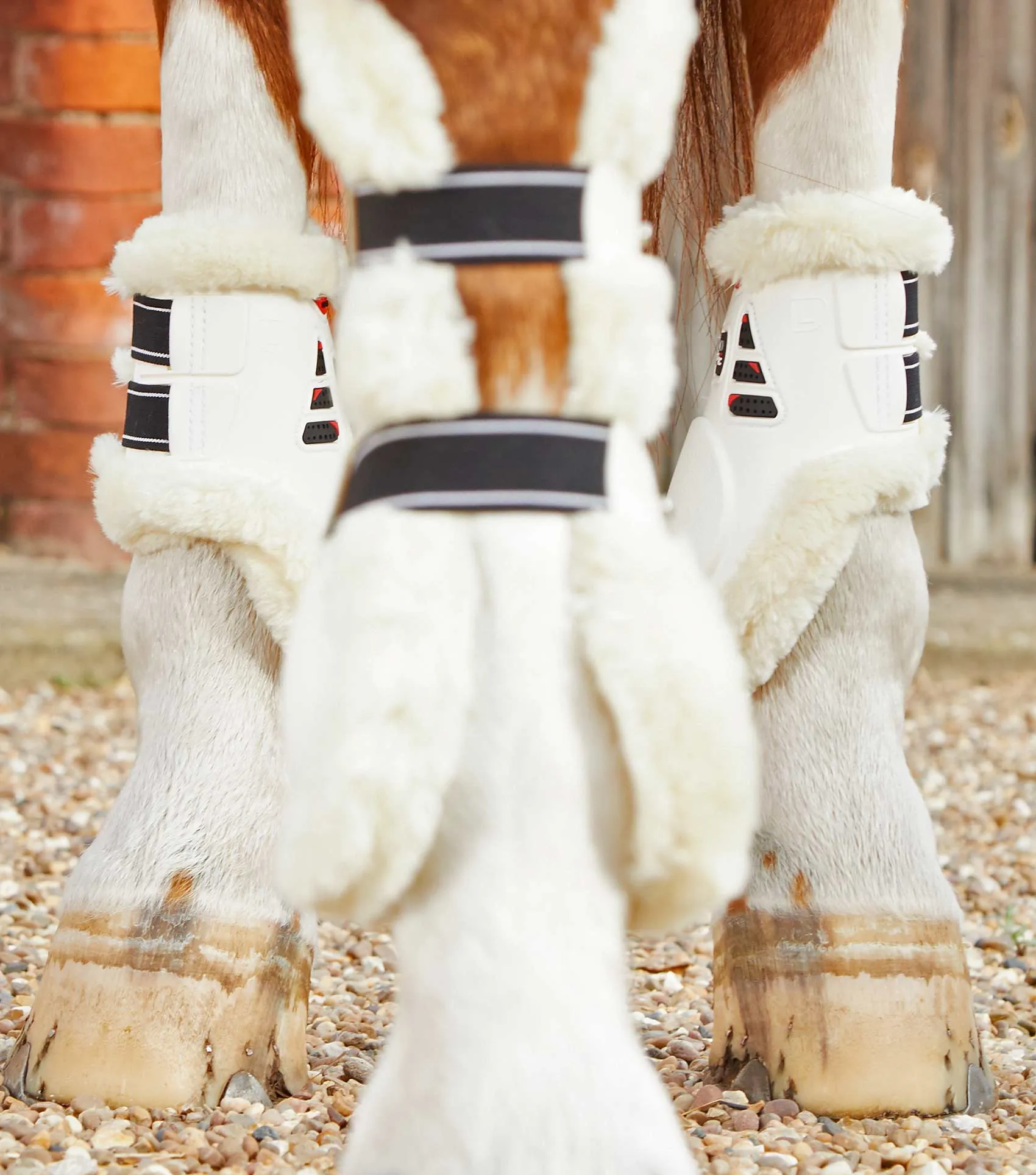 Sale Techno Wool Fetlock Boots White