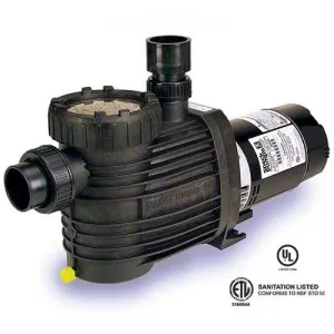 Speck Pumps S90 2 HP Pump - Two Speed